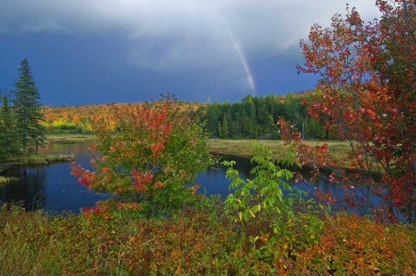 Canada, Ontario Rainbow and maples in autumn